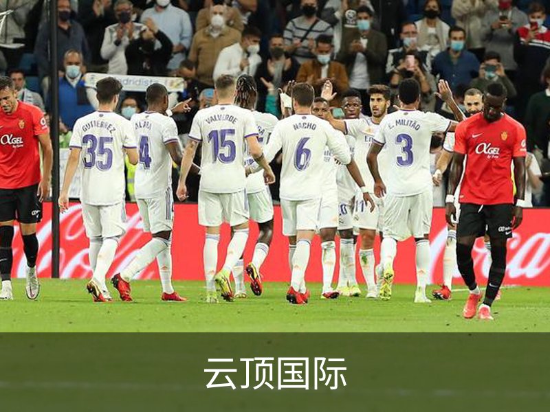 云顶国际概况